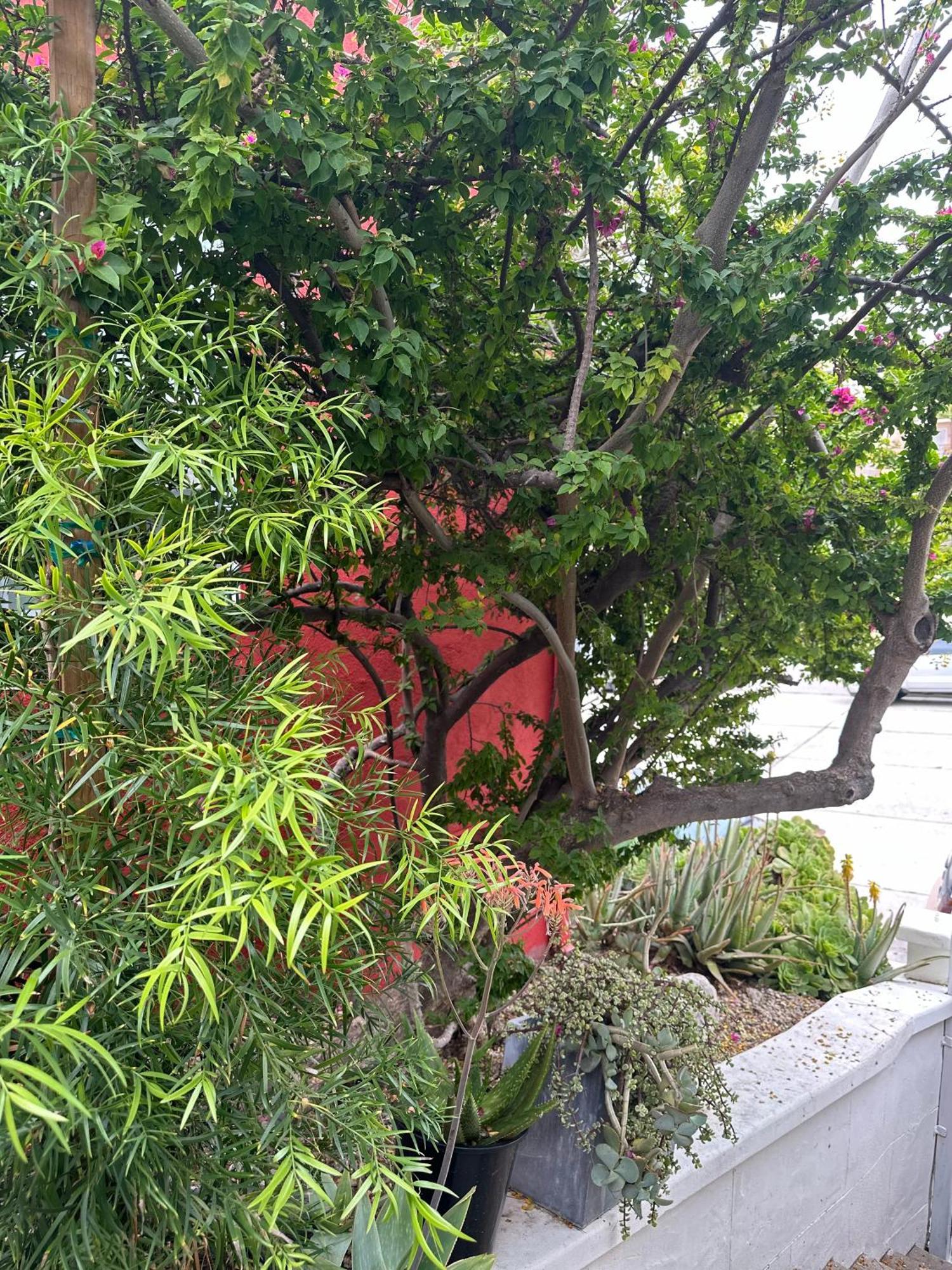 Modern, Remodeled Echo Park House-Walk To Sunset Blvd, Dodgers Stadium, Shops, Bars, Restaurants, Lake, Concerts ロサンゼルス エクステリア 写真